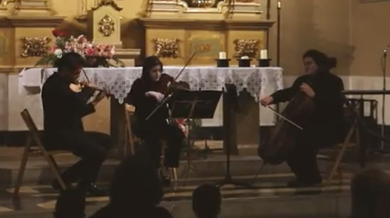 Trio Clàssic 2 (violí, violoncel i contrabaix)